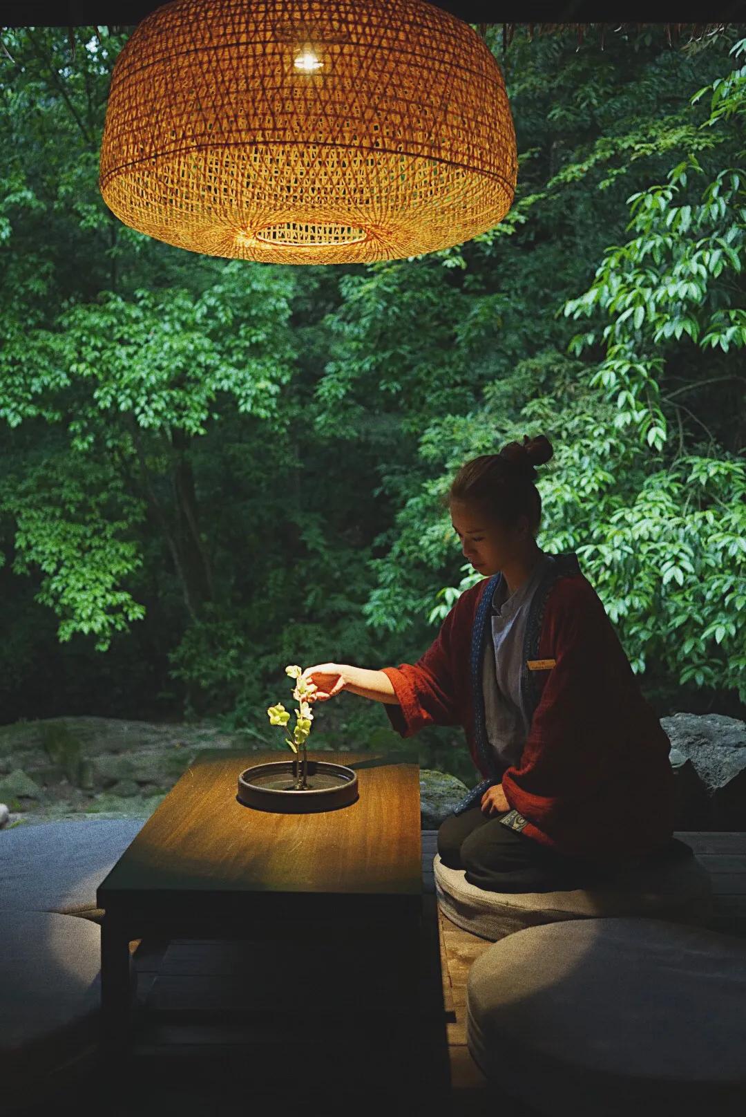 森林秘境的温泉,森林里野奢温泉度假酒店下午茶