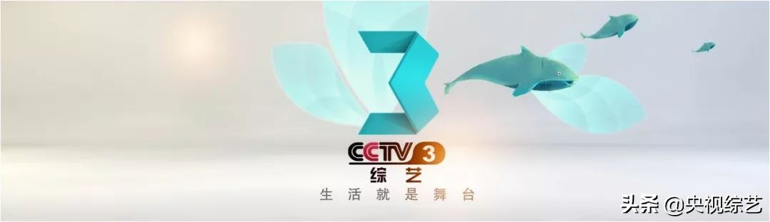 朗读依旧初心不改,朗读者书籍初心不改