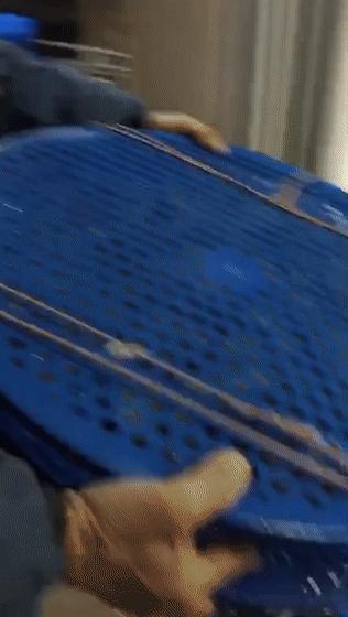 皮皮虾什么季节吃最好吃,吃货们吃皮皮虾的季节到了