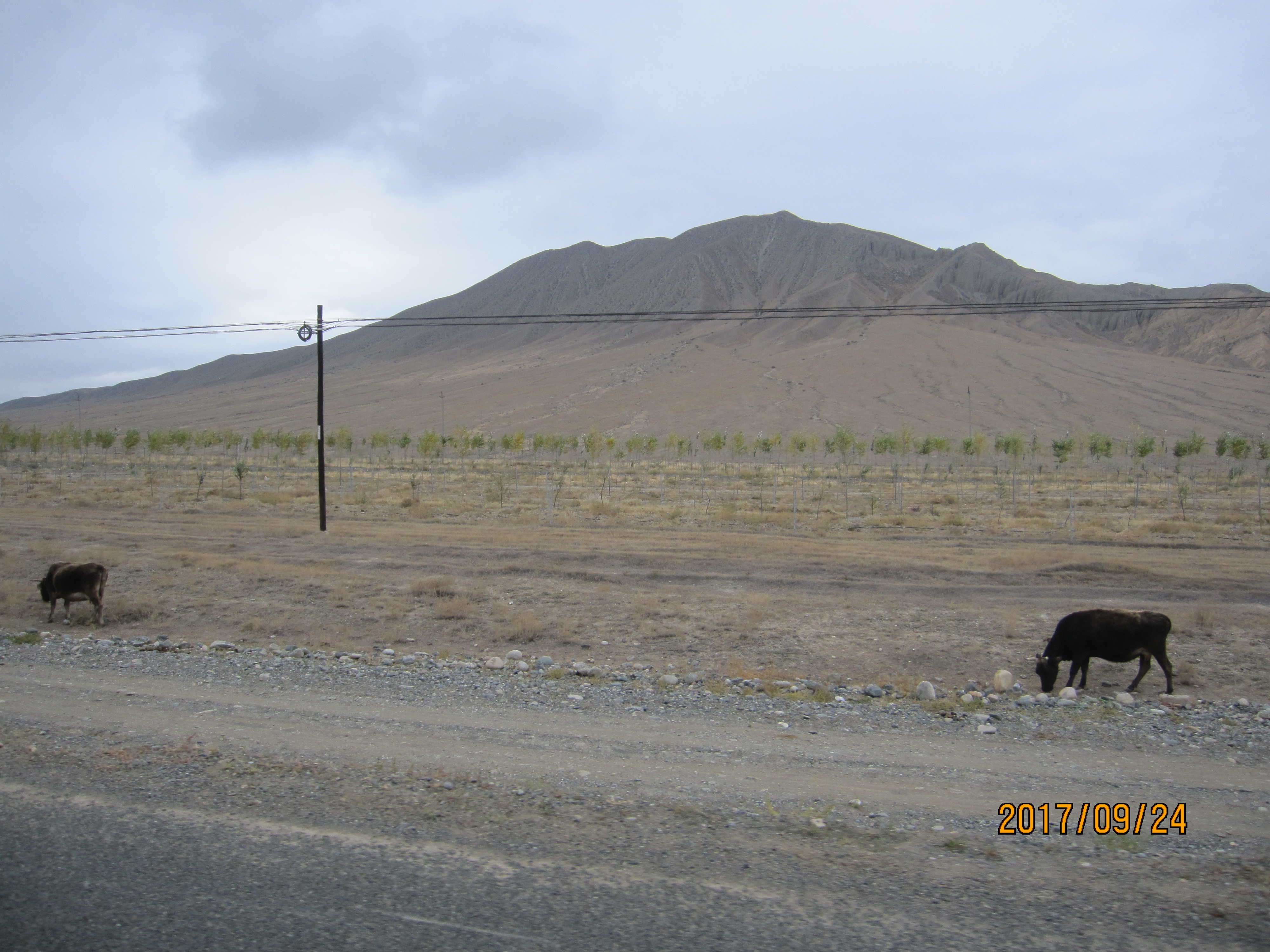 独库公路之旅日记,13000公里自驾新疆第十二天