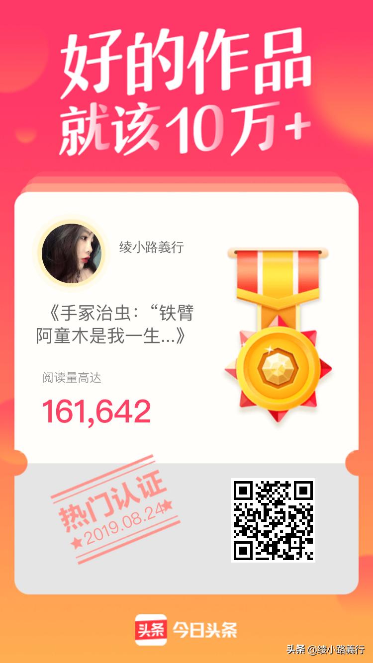 告别《电子游戏软件》老腊肉、变身动漫小萌新和00后一起竞争青云