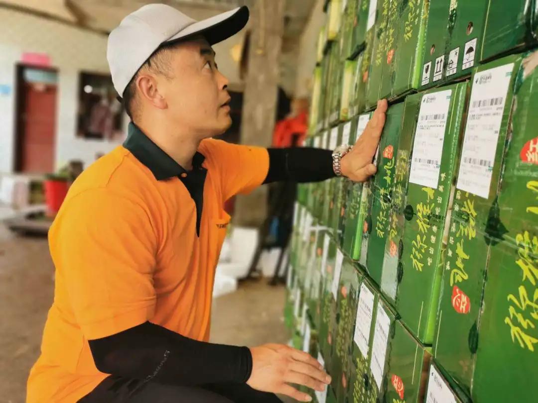 红心猕猴桃要浸果几次,红心猕猴桃浸果的最佳温度