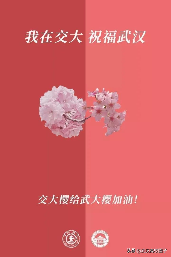 爸妈我想回家视频,爸妈我想回家了原视频