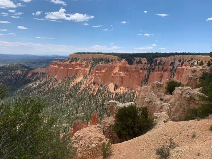 古诗词最好一句让人意难平的名句,诗词中难以启齿的19个字