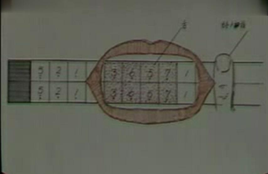 口琴入门教学《24孔口琴初级教程》