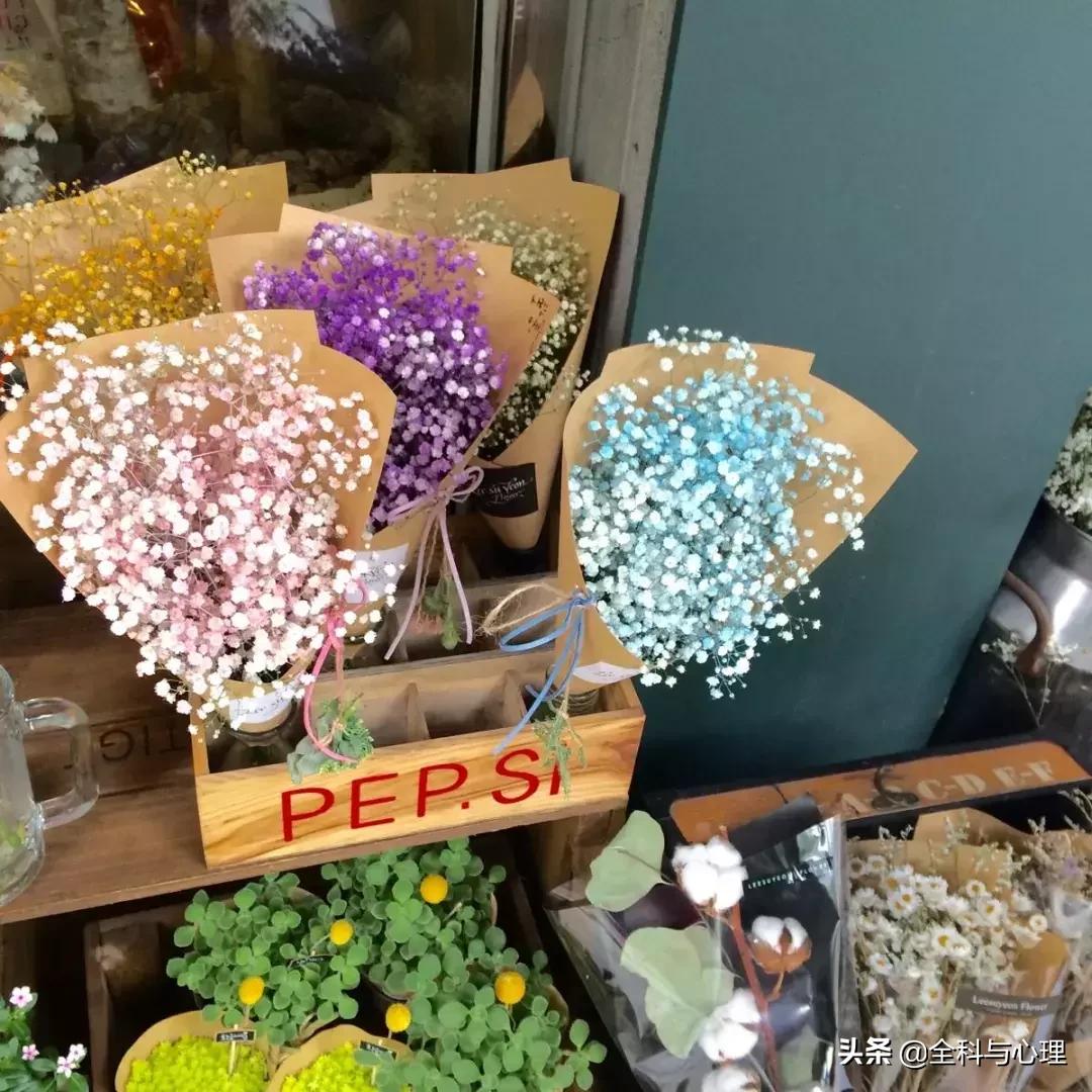 心灵鸡汤的正能量句子短句,心灵鸡汤短句经典正能量句子