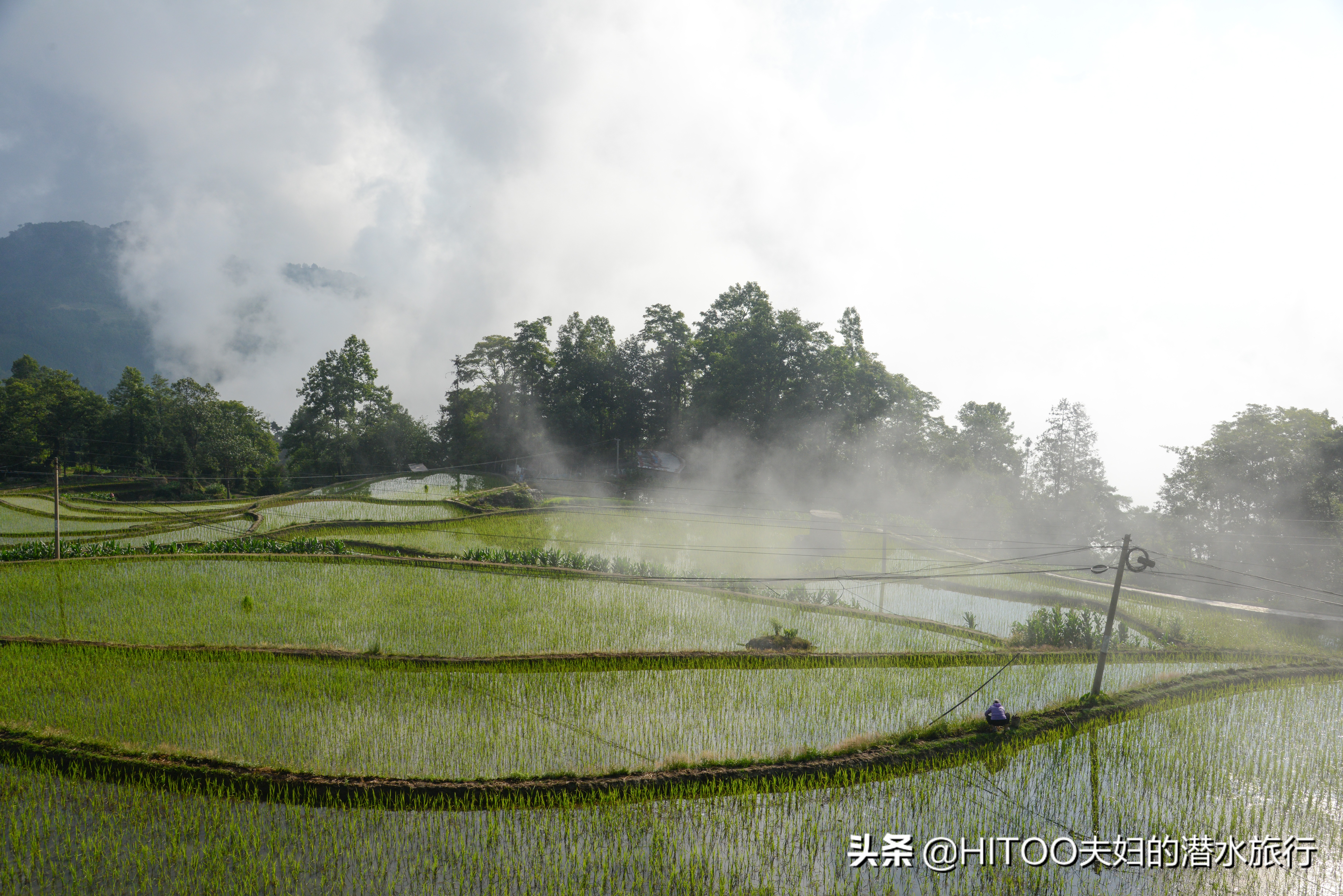 自驾元阳梯田旅游攻略时间,元阳梯田自驾游玩攻略路线
