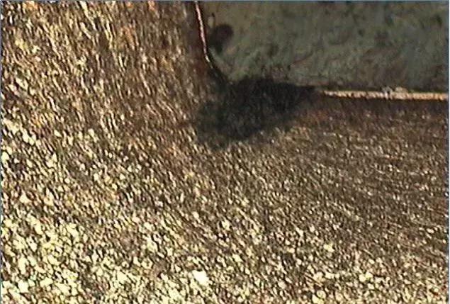 关于螺蛳送你一份全面知识图谱,螺丝知识大全100例