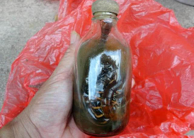 晚上夜钓老是有蜈蚣怎么防,野钓怎样防止蜈蚣最有效