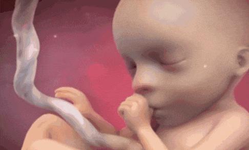 7个月孕妇产检,7个月以后孕妇产检