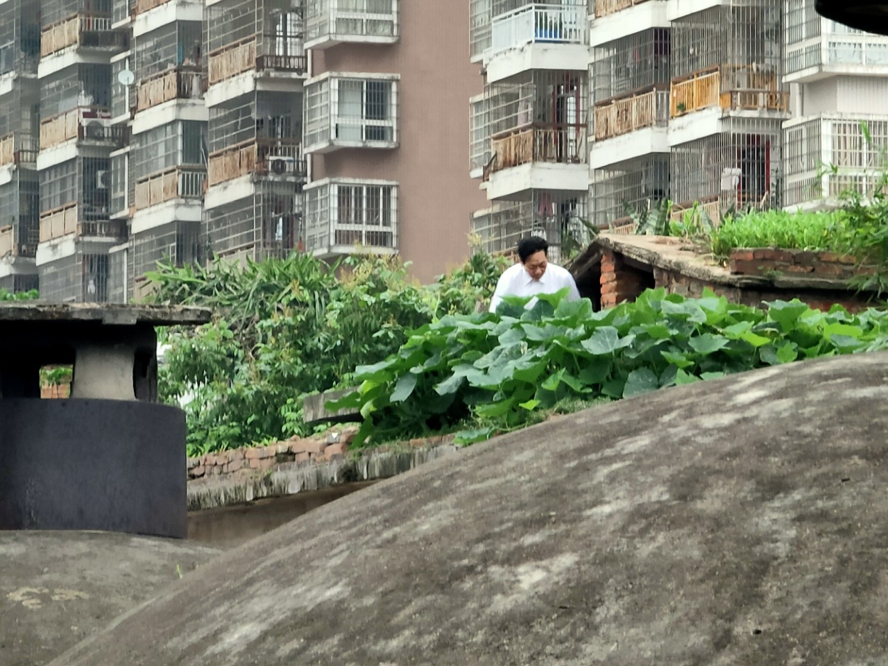 钦州曾经的粮库原来在这里！与周边高楼大厦一比仿如隔世