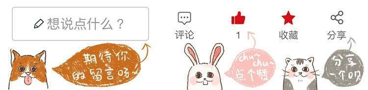 猫咪绝育后护理方法,猫猫绝育后如何护理