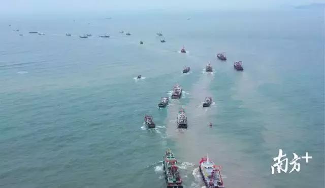 看饿了!南海开渔,佛山人去这些地方吃到high