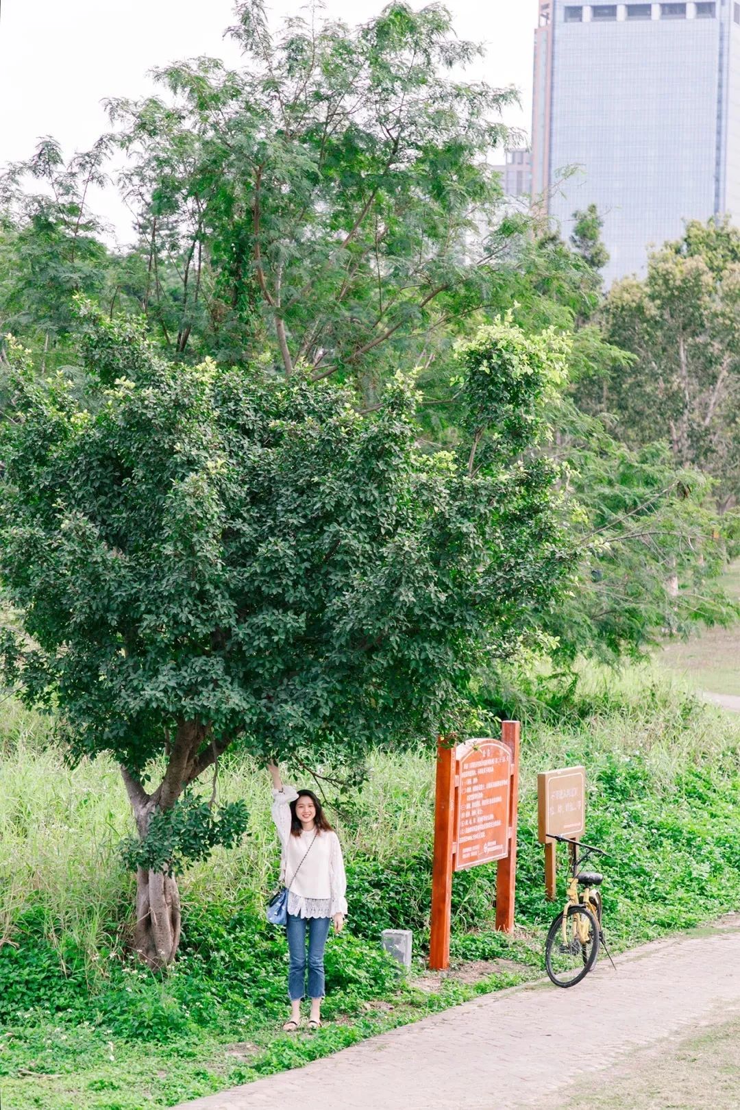 深圳3号线有哪些可以玩的,深圳7号线攻略