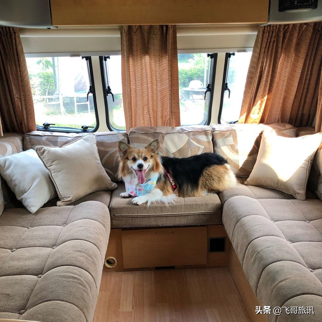 香港露营点,香港露营路线推荐