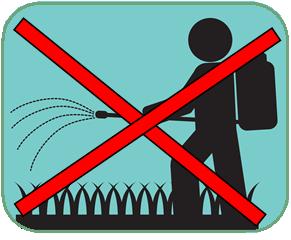 失眠很多年吃任何药都无效怎么办,失眠后背酸痛的原因