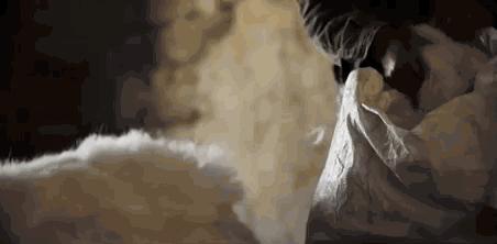 羊绒围巾很温暖,流行的羊绒围巾