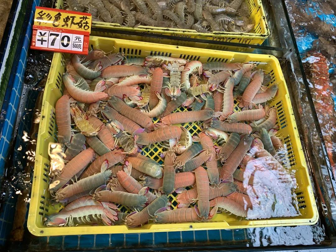 一次惬意的厦门之行,一家三口厦门玩四天