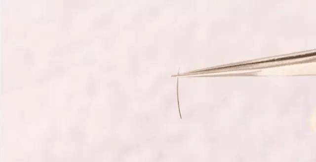 嫁接睫毛技术进行中,m型嫁接睫毛教程零基础手法