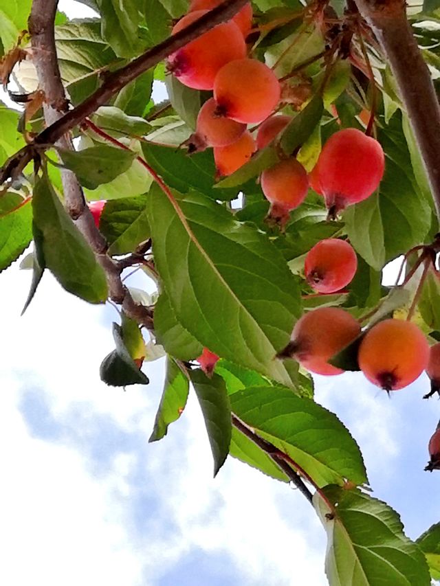 众创网校简介,众创网校官网