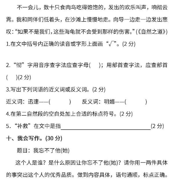 期末来了你准备好了吗,小学四年级期末模拟卷二