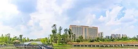 郫都区国家三级医院,郫都区人民医院新院区