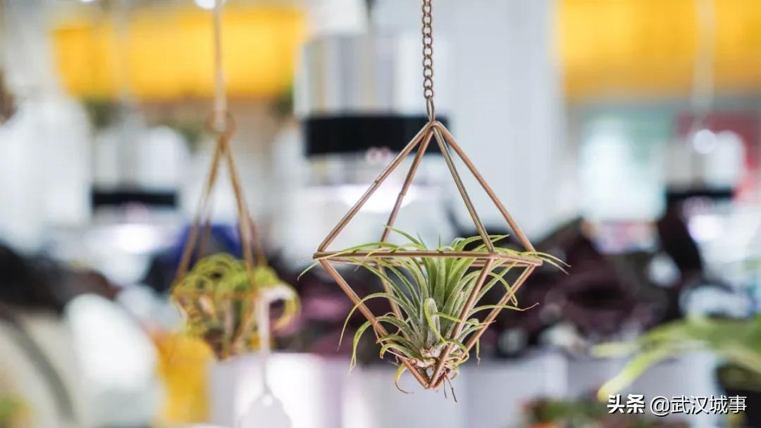 OMG，看过来！精致女孩最in「集装箱」淘货圣地来啦