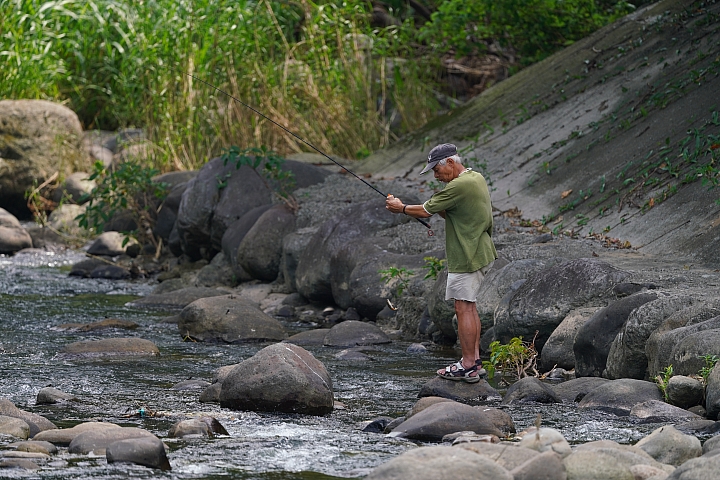 索尼fe50mmf2.5gm测评,索尼fe24f1.4gm大师镜头评测