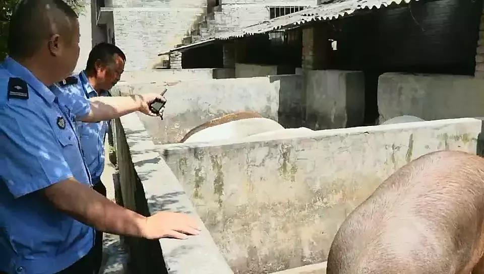 中国青年报张启明,人民网评价张启明