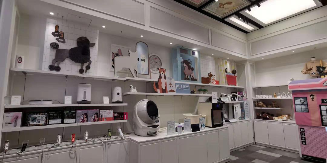 韩国宠物店推荐,韩国宠物店体验