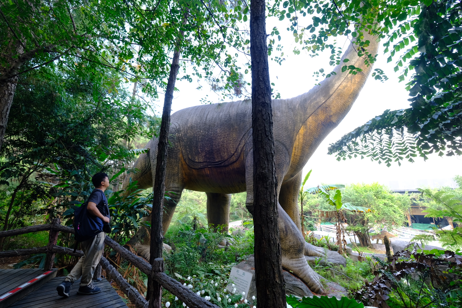 清远森波拉避暑胜地,森波拉奇妙世界温泉门票价格