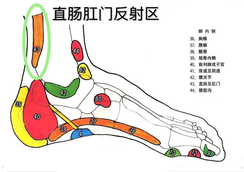 做足疗到底有什么好处？养生小妙招：足部按摩如何快速解决便秘