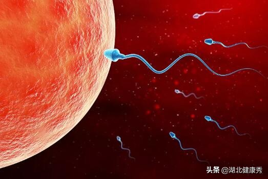 试管婴儿都有可能出现什么问题,做试管婴儿是谁的问题