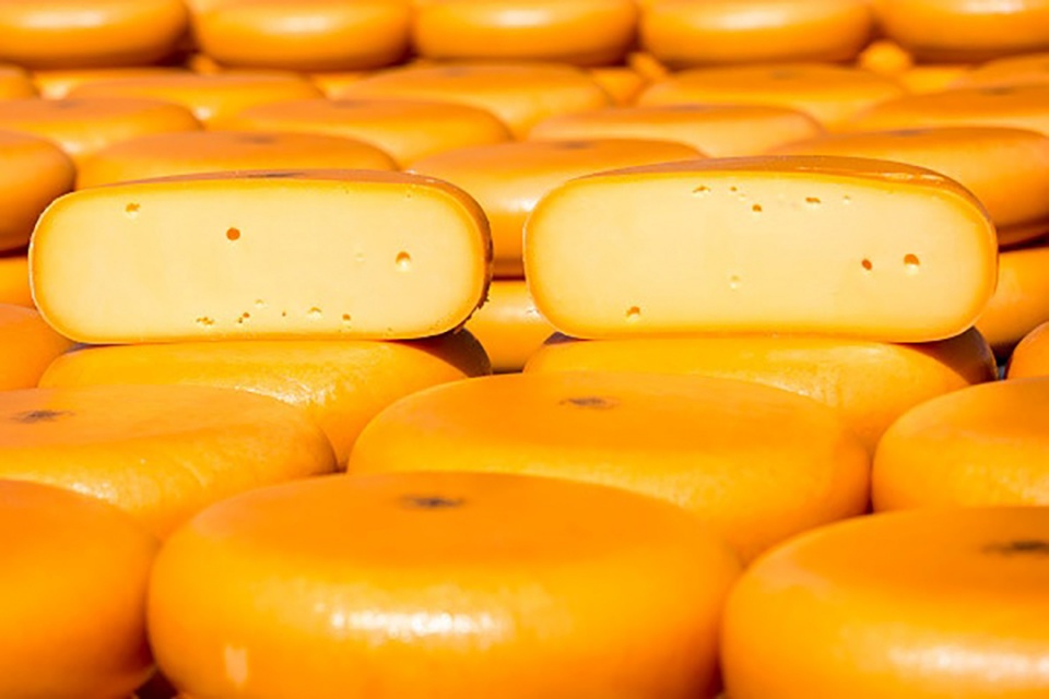 如何分清各种芝士,如何选择适合自己的芝士种类