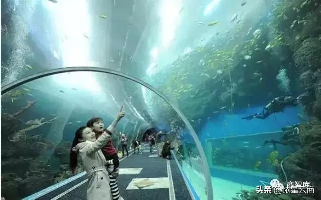 新奇特体验业态,新奇特娱乐体验业态兴起