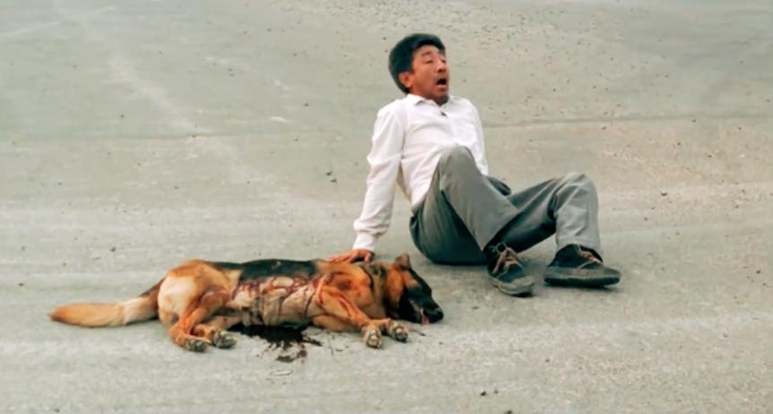 苏芮的酒干倘卖无背后的感人故事,酒干倘卖无是苏芮成名以后的歌吗