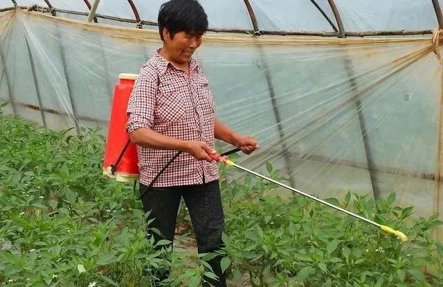 酒益处和坏处,酒能治什么