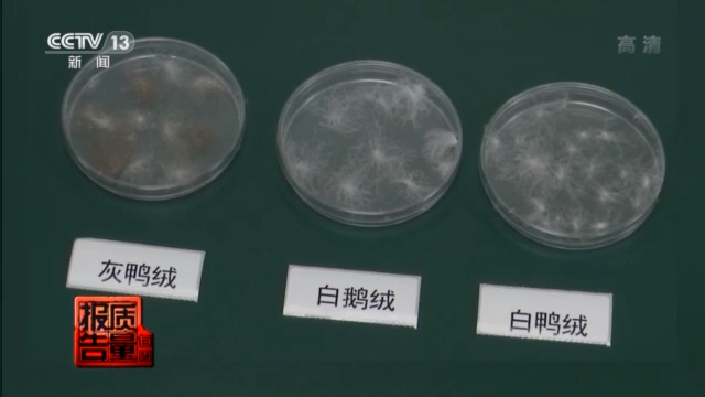 宝宝含绒量90%的羽绒服,儿童羽绒服含绒量多少克才算好