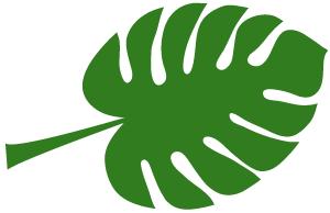 健康义诊免费专家,健康专家义诊