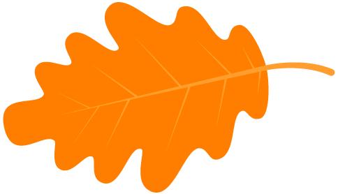 江苏少先队认真学习习*平近**总书记致少先队建队70周年贺信精神