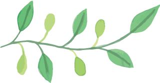 贵大考研成绩公布，你想知道的都在这！