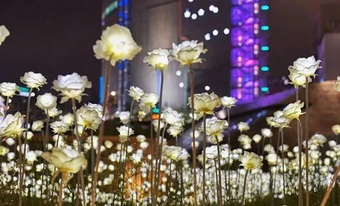 鄱阳湖帐篷节,草原帐篷节