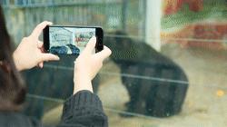 熊出没熊大熊二旅游,熊出没之熊大熊二乐园