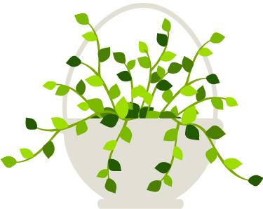 宝宝尿黄就是上火了,尿黄是什么原因引起的上火