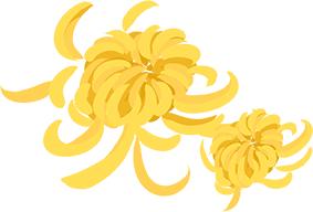 「重阳节」献给爸妈的防骗宝典