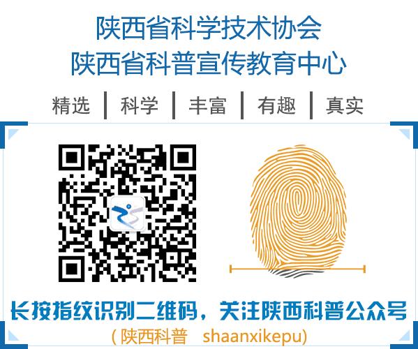 减肥看体脂率有用还是看bmi有用,减肥前要知道bmi值是多少