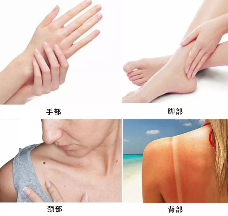 面霜日常护肤大容量推荐,官方正品家庭装保湿滋润面霜