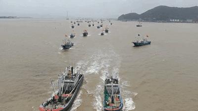 提醒吃海鲜的人们,广西开海节吃海鲜