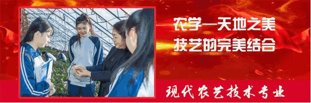 激情足球魅力职教文武并举放飞梦想