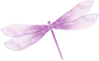 如果爱—广州十方缘11月活动回顾